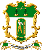 Logo of the Egyptian Society of Accountants & Auditors